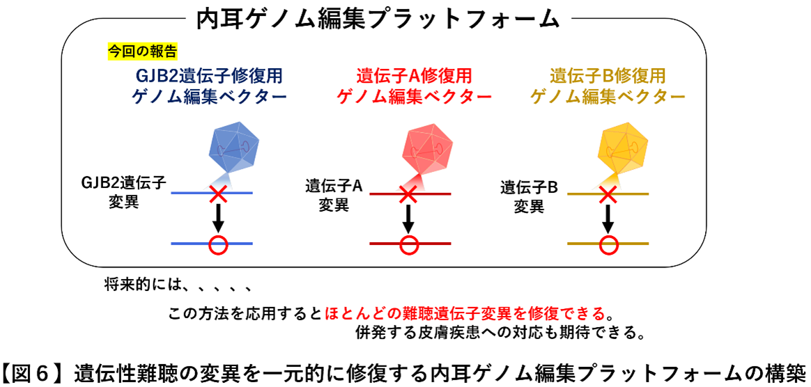 神谷先生画像6